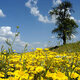 Frische Luft Frische Luft